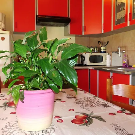Family-friendly With Swimming Pool Barbat, Rab - 4988 Apartament *