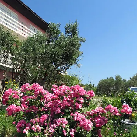 Family-friendly With Swimming Pool Barbat, Rab - 4988 Apartmán *