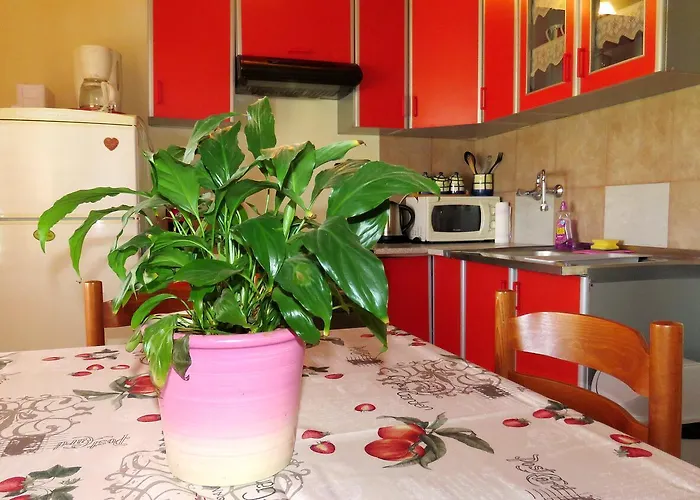 Family-friendly With Swimming Pool Barbat, Rab - 4988 公寓 *