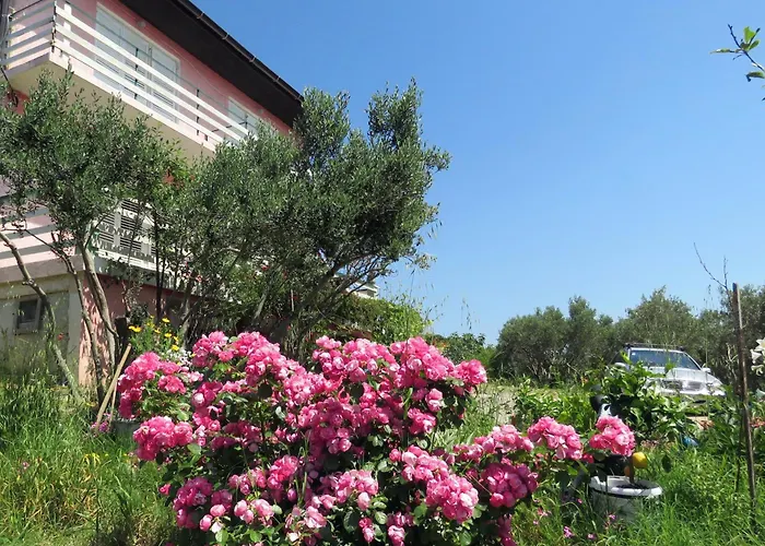 Family-friendly With Swimming Pool Barbat, Rab - 4988 公寓 *